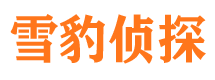 武宣寻人公司